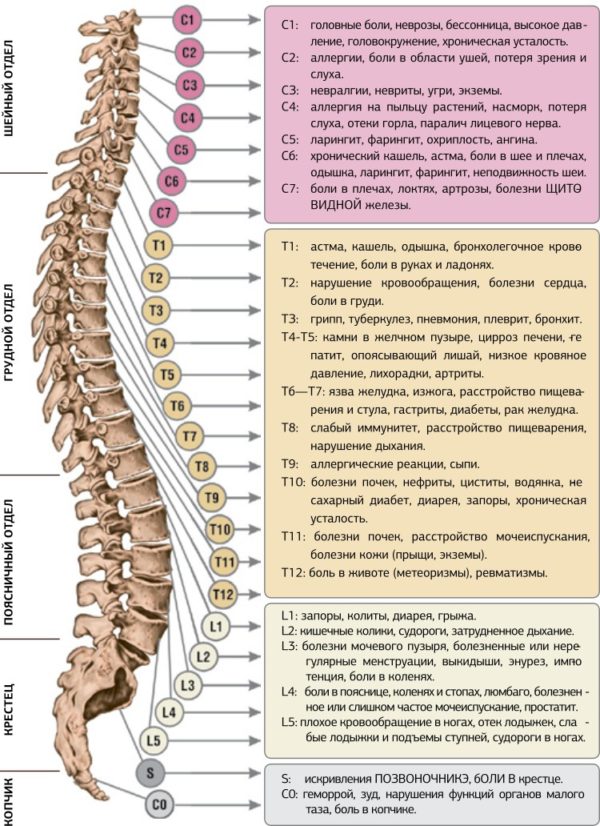 Инновационный стол для лечения заболеваний позвоночника