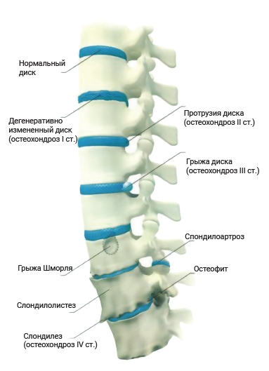 image Нуга Бест официальный сайт
