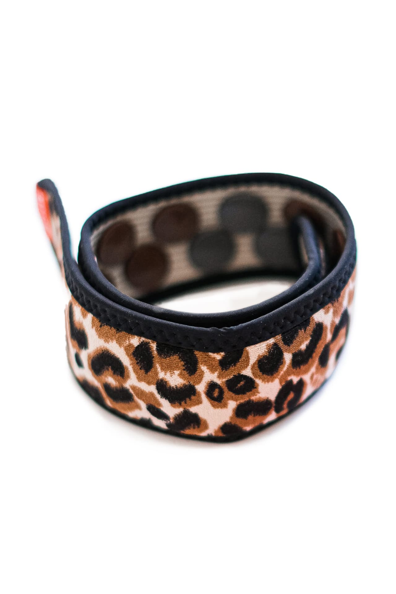 DSCF0217-1